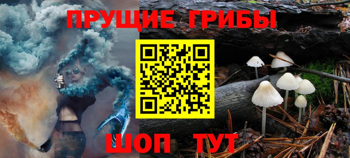 Псилоцибиновые грибы Cubensis  Вход с VPN  Новозыбков  Галлюциногенные грибы ЛСД 