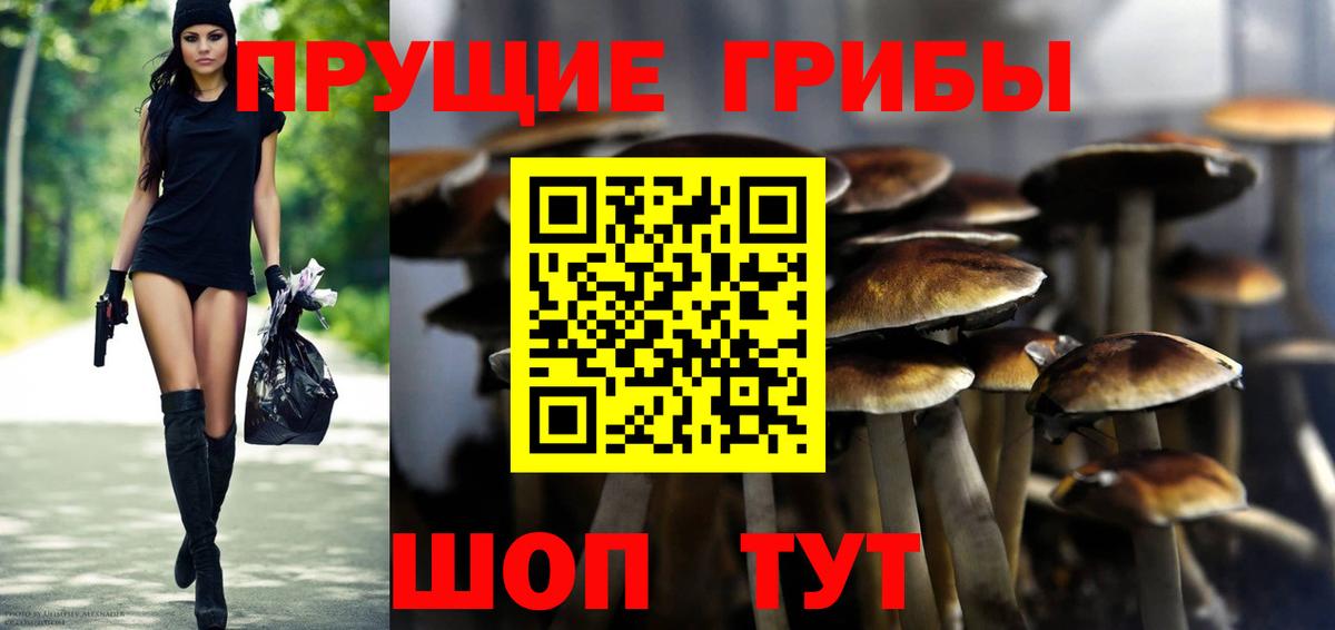 Псилоцибиновые грибы Magic Shrooms Новозыбков